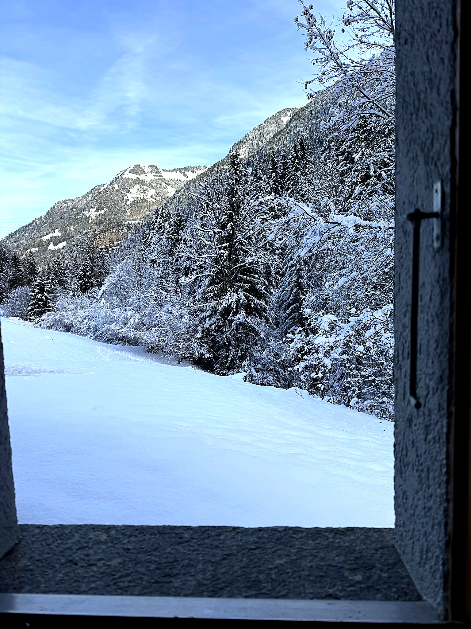 Vue depuis la fenêtre